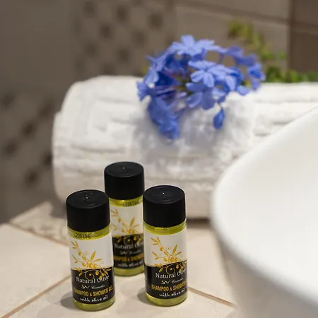 Santa Maria Mare Villa Naoussa